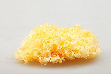 95号公路狂奔马成热点新闻 《费城询问报》推恶搞游戏《Horse 95》